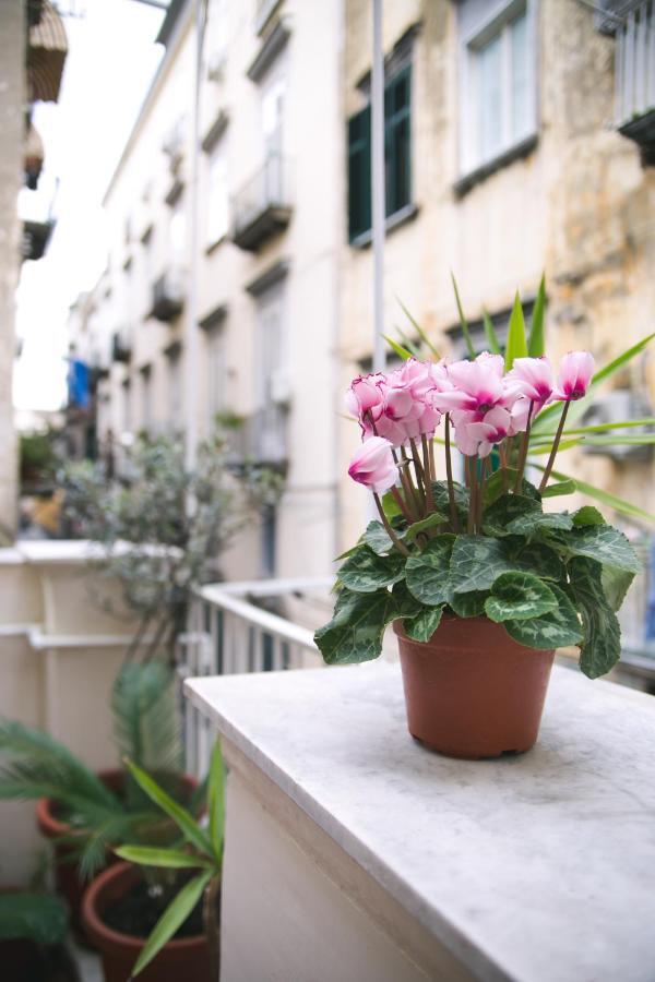 Apartament La Casa Del Nespolo, 2 Terrazzi E 2 Bagni In Centro Neapol Zewnętrze zdjęcie